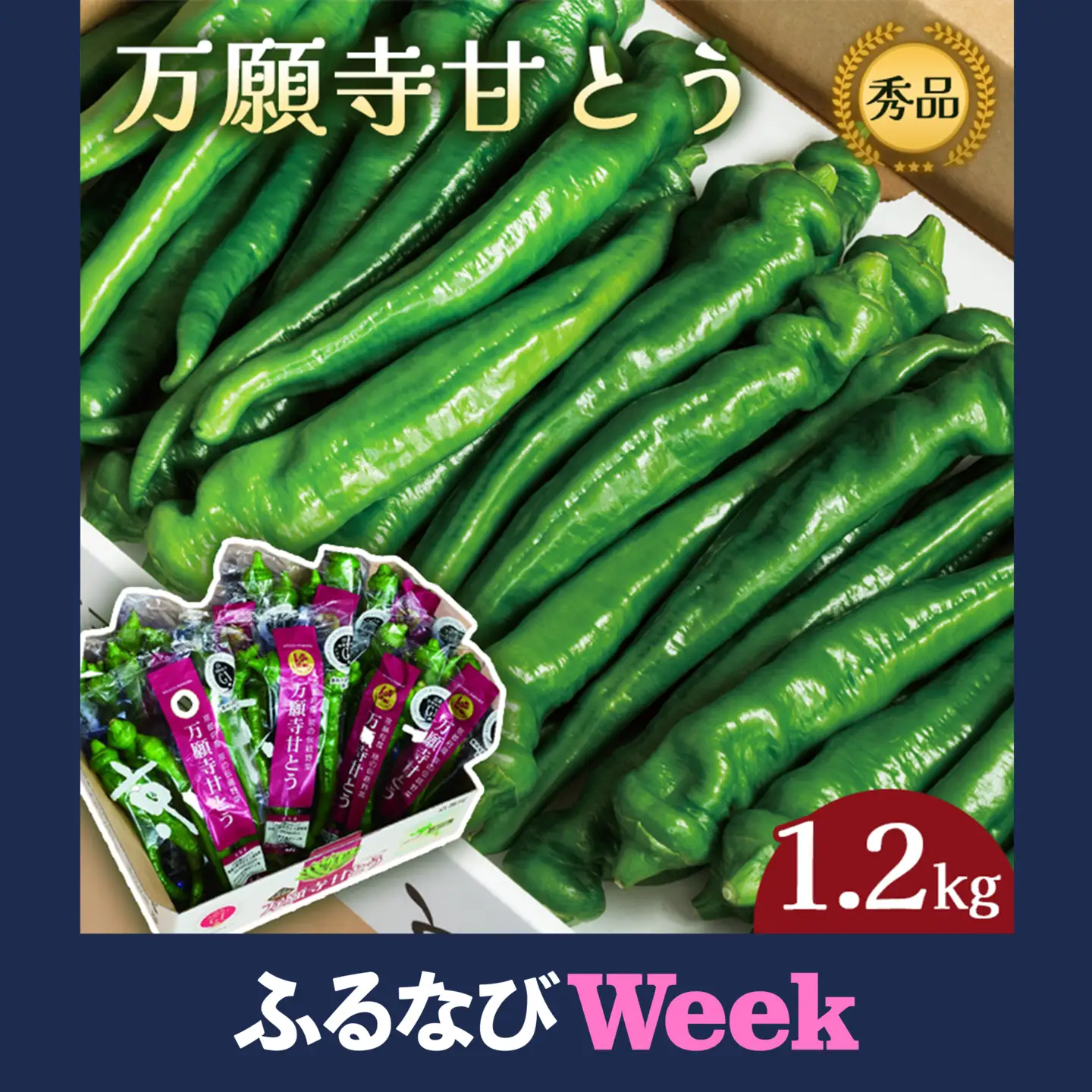 【ふるなびWEEK対象】 万願寺甘とう 秀品 1.2kg 化粧箱入 京野菜 万願寺とうがらし