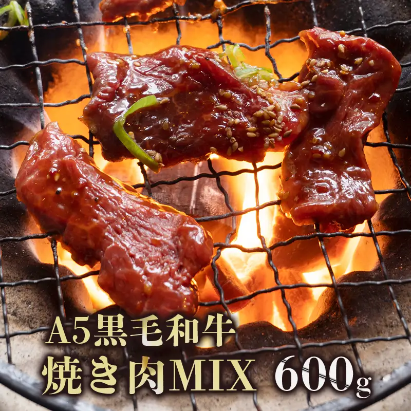 黒毛和牛 焼肉用ミックス 600g （150g×4袋/3～4人前） 焼き肉