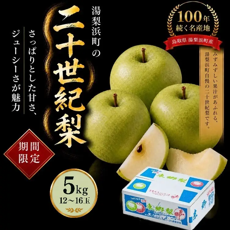 【期間限定】梨 なし 二十世紀 5kg 鳥取県 湯梨浜町 果物 フルーツ 特産品 8月中旬～9月上旬頃順次発送 先行予約 JA 東郷梨選果場 新鮮 人気 おすすめ 送料無料 選べる 内容量  くだもの フルーツ さっぱり さわやか ジューシー 定番 贈答 進物 4M