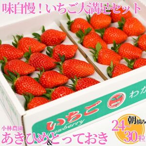 いちご 24～30粒 苺 イチゴ 大満足 セット 章姫 あきひめ とっておき 産地直送 鳥取県 | 24M