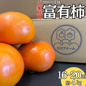 柿 訳あり ご家庭用 4kg 富有柿 | 23M