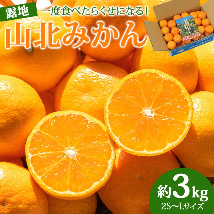 ≪先行受注≫山北みかん 約3kg ( 2S ～ Lサイズ ) ｜ みかん 甘い ku-0052