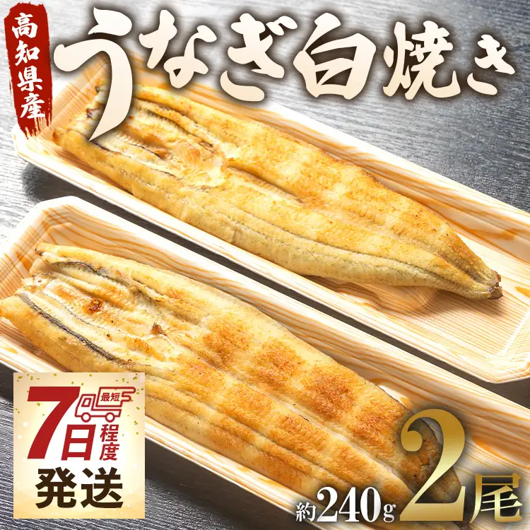 高知県産 うなぎ 白焼き 2尾 計240g（パック個包装）｜白焼き un-0083