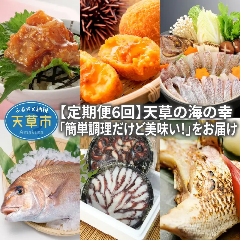 S999-T03_【定期便6回】天草の海の幸「簡単調理だけど美味い！」をお届け