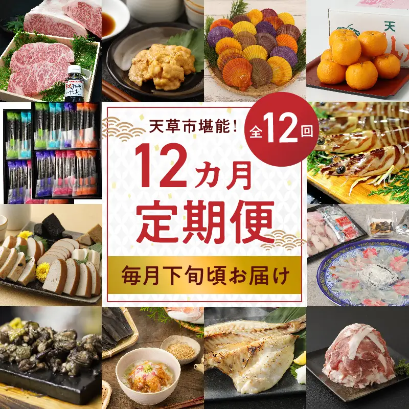 S999-T04_【定期便12回】天草市堪能12ヵ月定期便