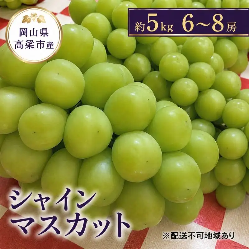 シャインマスカット こあに葡萄園 岡山県産 シャインマスカット【約5kg 6〜8房】【先行予約】