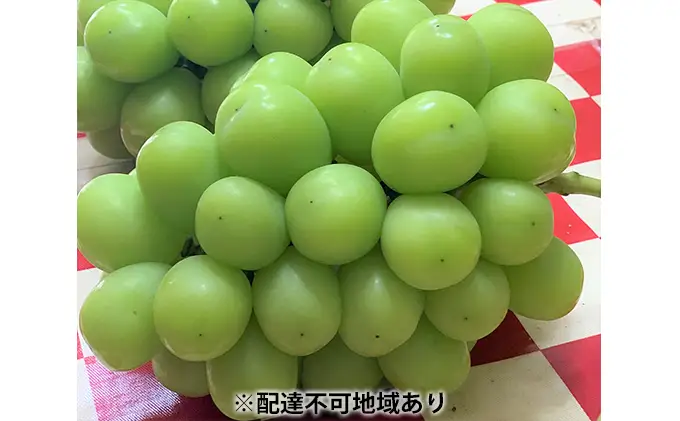 ぶどう シャインマスカット 3房 合計1.7kg以上 葡萄 フルーツ 岡山 高梁市産 こあに葡萄園 2026年 先行予約 果物類 ぶどう ブドウ 