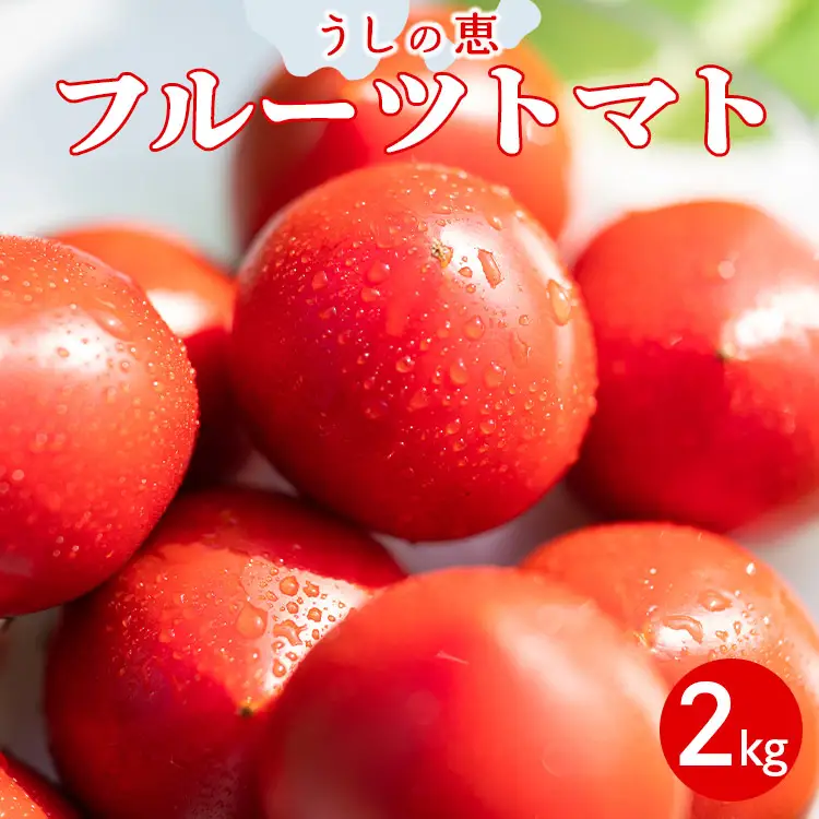先行受付【野菜ソムリエが育てた】うしの恵 フルーツトマト 約2kg 野菜 香南市 完熟フルーツトマト mj-0028