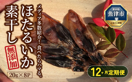 【12ヶ月定期便】ホタルイカ素干し 160g (20g×8袋 ) 　※北海道、沖縄、離島への配送不可
