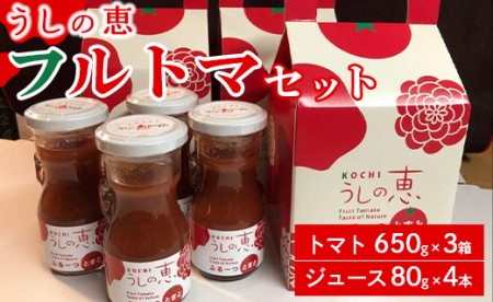 トマトジュース 無添加 ストレート 野菜ソムリエ うしの恵 フルトマセット4箱(トマト650g×3＋ジュース4本) - 野菜 トマト フルーツトマト 贈答用 プチギフト リコピン 甘い 酸味 おいしい サラダ 鍋 スープ 高知県 香南市 mj-0031