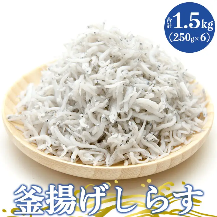 土佐名産 釜揚げしらす 合計1.5kg（約250g×6）【しらす 魚介 しらす 海鮮 しらす 惣菜 しらす 高評価 しらす 人気 しらす おすすめ】 tk-0013