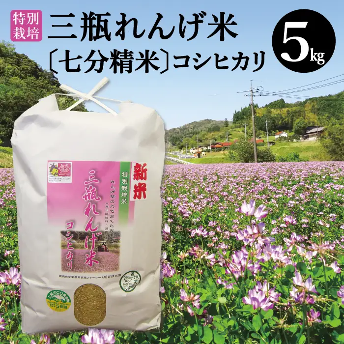 〈七分精米〉特別栽培 三瓶れんげ米 コシヒカリ 5kg【令和6年産 先行予約 こしひかり お米 5kg 2024年産 特別栽培米 七分精米 1等米 無化学窒素肥料 減農薬米】