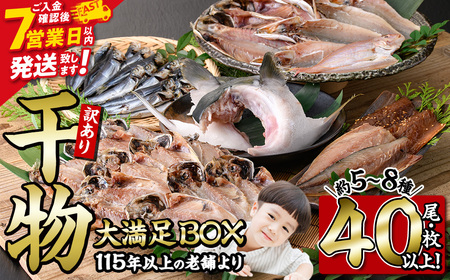 ＜訳あり＞ 干物大満足BOX (40尾以上・5-8種) スピード発送 【AQ68】【やまろ渡邉】