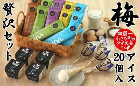 松崎冷菓の贅沢アイスセット〈梅〉