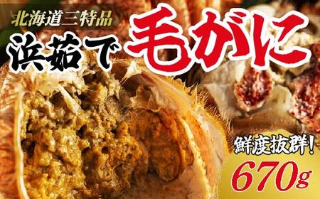 【網走産】鮮度抜群！三特浜茹で毛がに 約670g×1尾 【 ふるさと納税 人気 おすすめ ランキング 毛がに 毛ガニ 茹で毛がに 網走産 濃厚 かに味噌 北海道 網走市 送料無料 】 ABW004