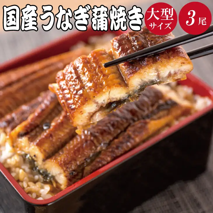 うなぎ 国産鰻蒲焼き ３尾【uot303A-3】