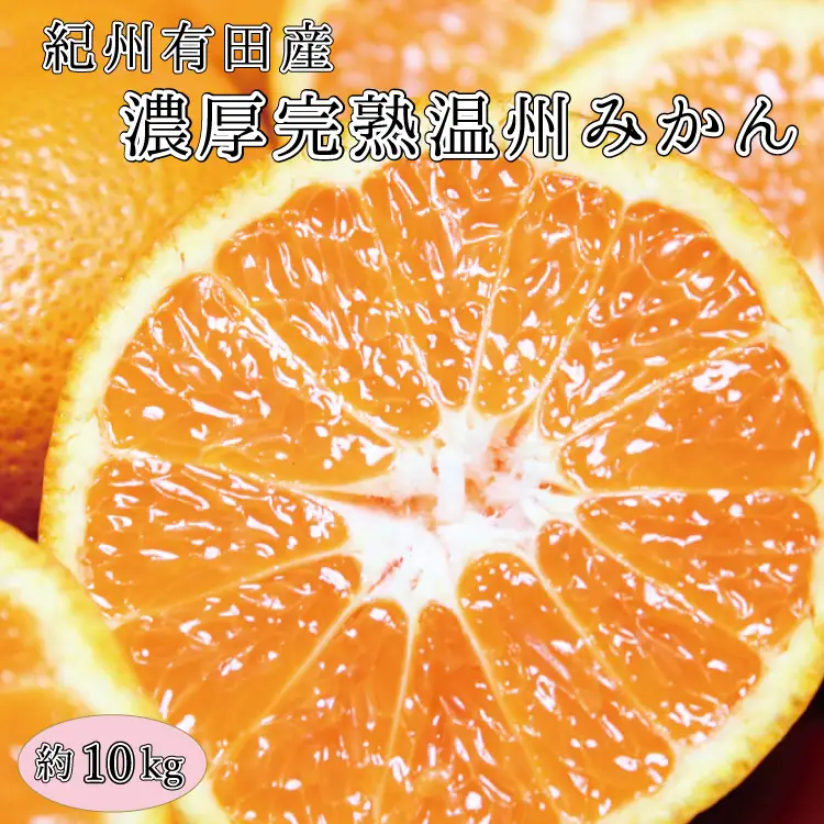 完熟有田みかん　10kg　※2026年11月下旬～2027年1月下旬頃に順次発送予定(お届け日指定不可)【uot705】