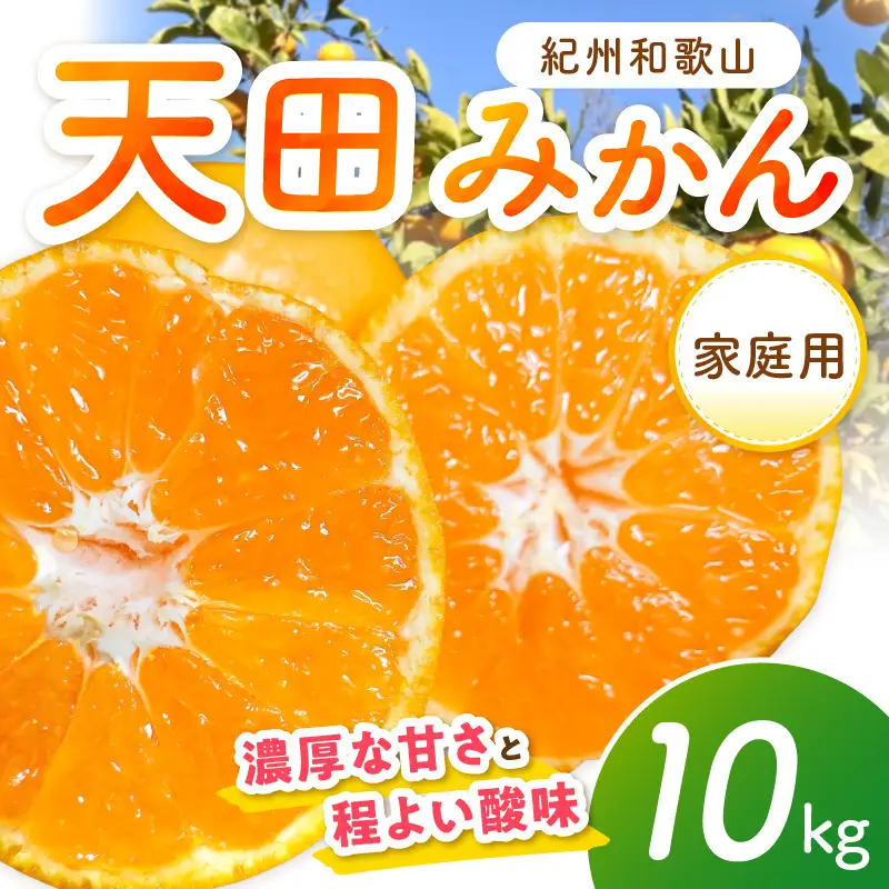 天田みかん（紀州和歌山）家庭用 10kg（先行予約）【0725-4】