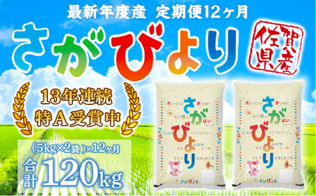 「令和5年産」さがびより 定期便 12ヶ月 120kg 999-B606