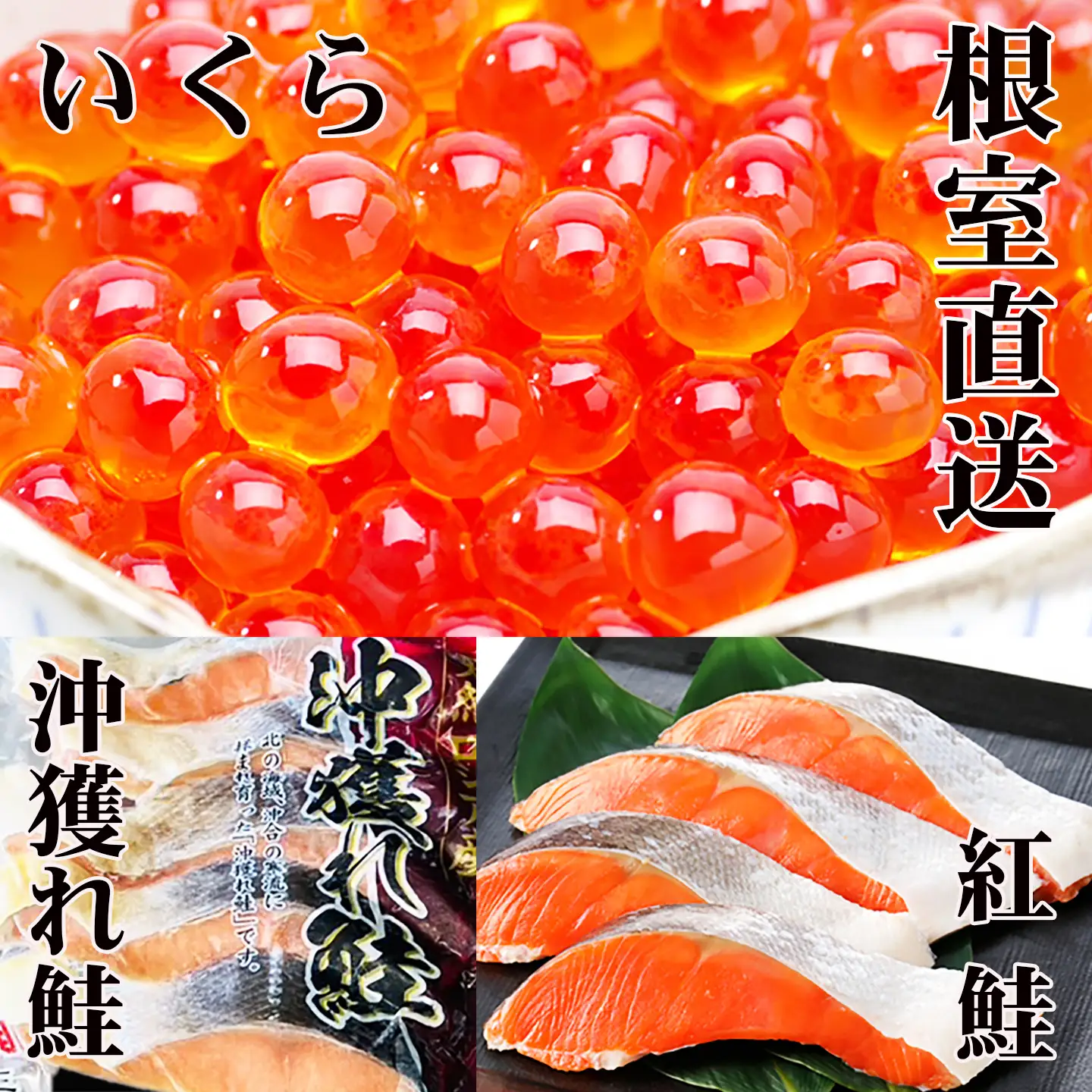 甘塩紅鮭5切×10P、甘塩沖獲れ鮭5切×10P、いくら醤油漬け100g×5P E-36002