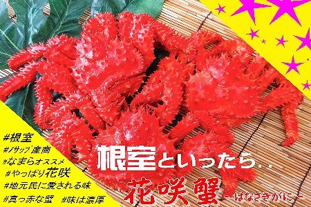 【北海道根室産】花咲がに5～6尾(計4.5kg以上) E-59001