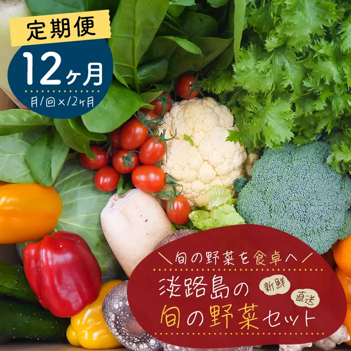 【定期便】淡路島の旬の野菜セット　１年コース（月１回×１２回）　野菜詰め合わせ