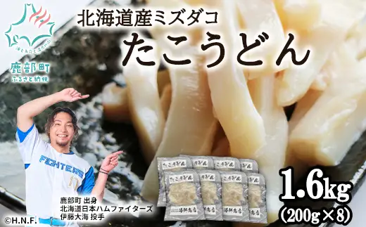 たこうどん 1.6kg（200g×8パック）北海道産 たこしゃぶ 小分け 刺身