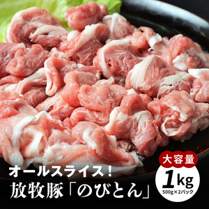 放牧豚「のびとん」スライスセット 500g×2パック _K25_0007_3