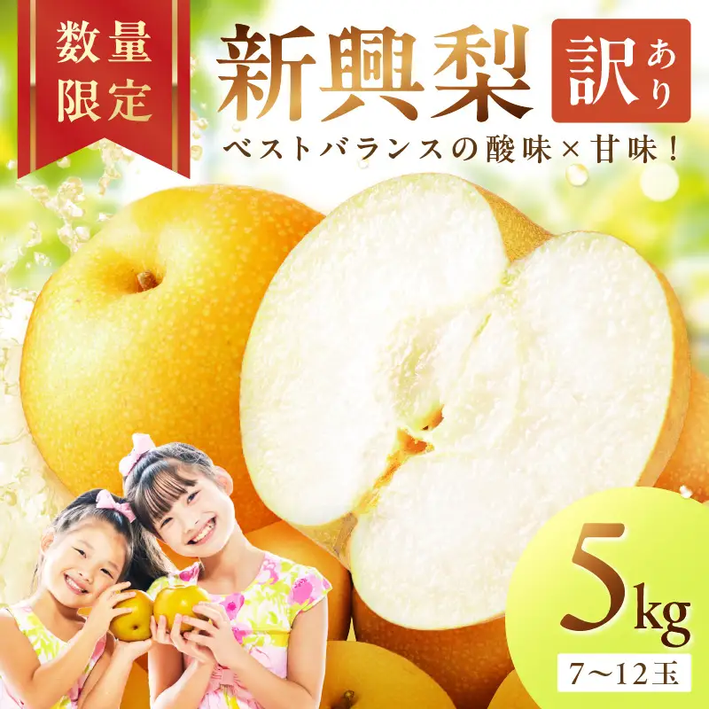 フルーツ 梨【先行予約／数量限定700】新興梨（訳あり） 5kg （7～12玉）（2026年9月下旬～発送）(赤梨 梨 ナシ 梨 梨 梨)