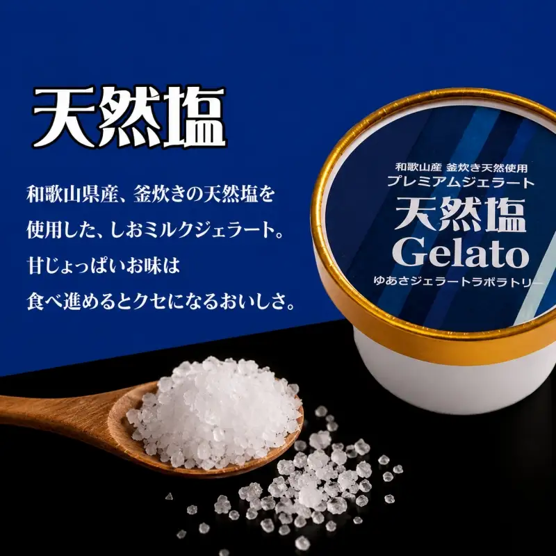 プレミアムジェラート 天然塩12個セット アイスクリームセット 100mlカップ ゆあさジェラートラボラトリー【kstb700-04】