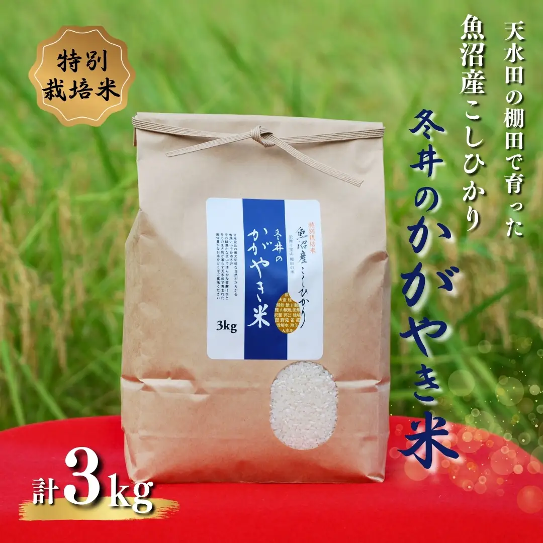 【令和8年産 コシヒカリ】コシヒカリ 3kg 新潟県 精米 特別栽培