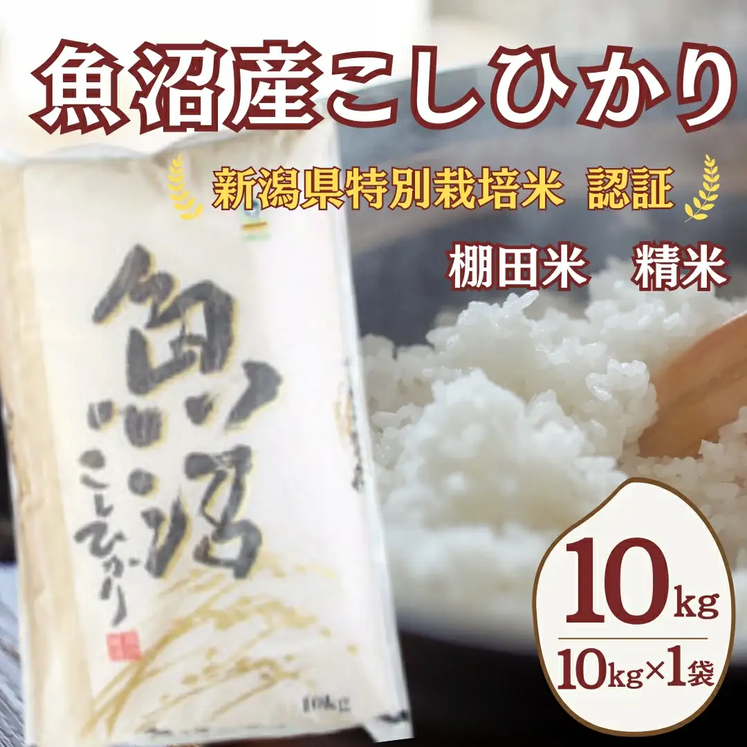 農家直送の棚田米 魚沼産コシヒカリ 10kg 佐藤農場 | 10キロ×1 おこめ コシヒカリ 令和7年 小千谷 新潟