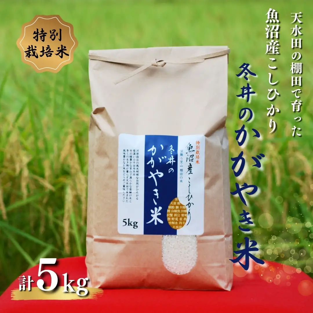 【令和8年産】魚沼産コシヒカリ 冬井のかがやき 5kg