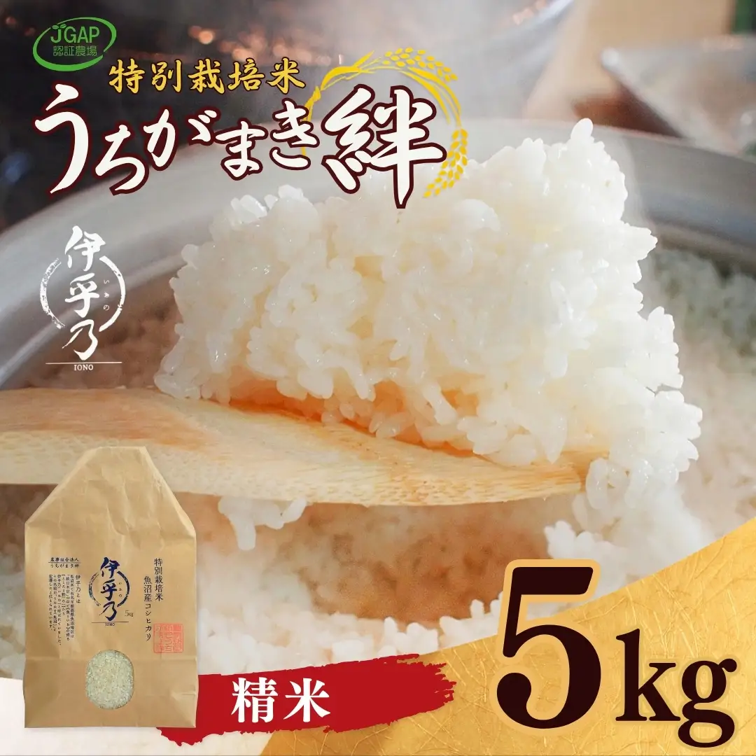 魚沼産コシヒカリ 特別栽培「伊乎乃」 5kg 令和7年 | 新潟県 魚沼 米 うちがまき絆