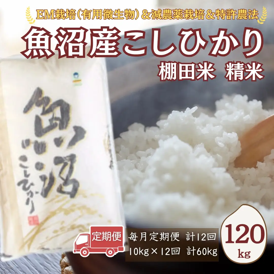 【令和8年 先行予約】魚沼産コシヒカリ棚田米 120kg (10キロ×12回) 佐藤農場 | 新潟県 コシヒカリ おこめ