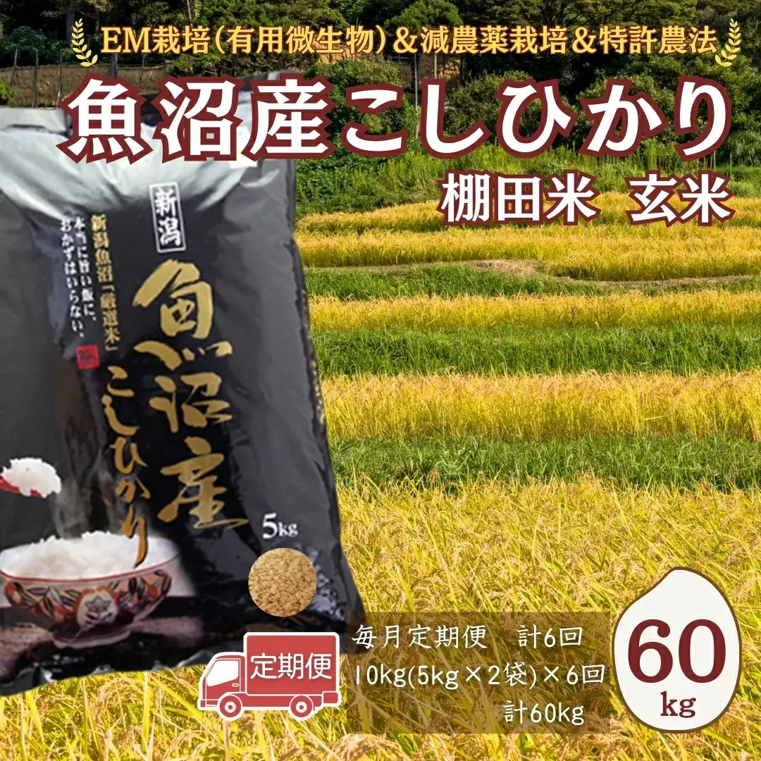 【令和8年 先行予約 定期便】魚沼産コシヒカリ棚田米 玄米 60kg (10キロ×6回) 佐藤農場|おこめ 玄米 小千谷 新潟