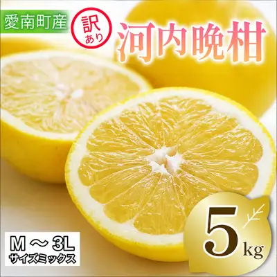 訳あり まどんな 5kg