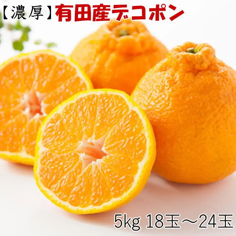【お味濃厚】紀州有田産のデコポン約5kg(18玉～24玉入り・青秀以上) ※2027年2月中旬～2027年3月中旬頃順次発送【tec810B】