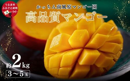 高品質マンゴー　秀品　約2kg（3～5玉）【かっちん南風原マンゴー園】【2027年発送】