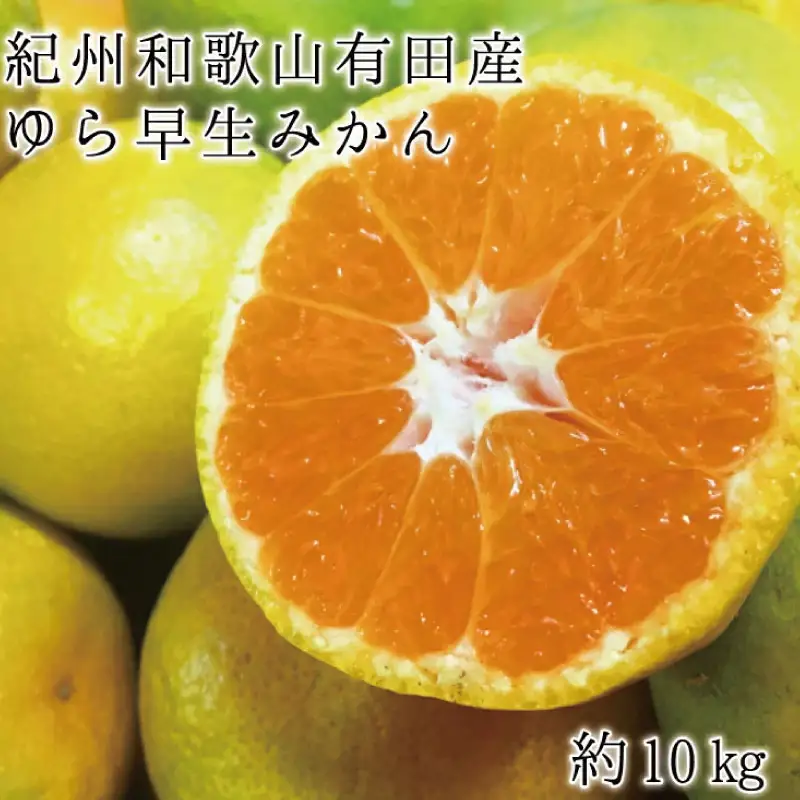 【先行予約】紀州和歌山有田産ゆら早生みかん10kg　※2026年10月中旬頃〜11月上旬頃に順次発送（お届け日指定不可）【uot734】