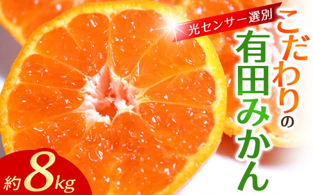 【1月発送予約分】こだわりの 有田みかん 約8kg＋150g(傷み補償分)【ご家庭用】【1月発送】【nuk100-01A】