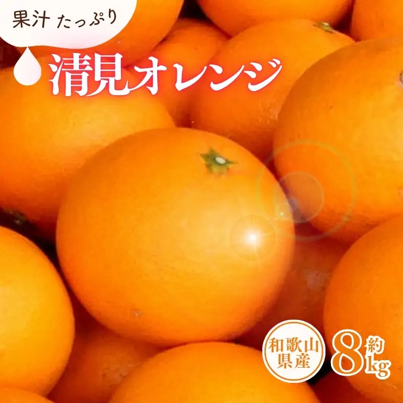 清見オレンジ約8kg / 果実サイズおまかせ ※2027年2月中旬～2027年4月下旬頃に発送予定　紀伊国屋文左衛門本舗【kstb401C】