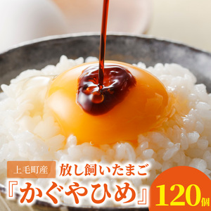 放し飼いたまご『かぐやひめ』120個【福岡上毛町産】 高評価 たまご 120個 かぐやひめ 生卵 鶏卵 コク まろやか 旨み 国産 衛生 品質 管理 徹底 エサ こだわり 放し飼い 九州産 卵かけご飯 オムライス オムレツ チャーハン 親子丼 マフィン プリン ご飯 スイーツ 食品 お取り寄せ グルメ 福岡県 上毛町 送料無料 _C00701
