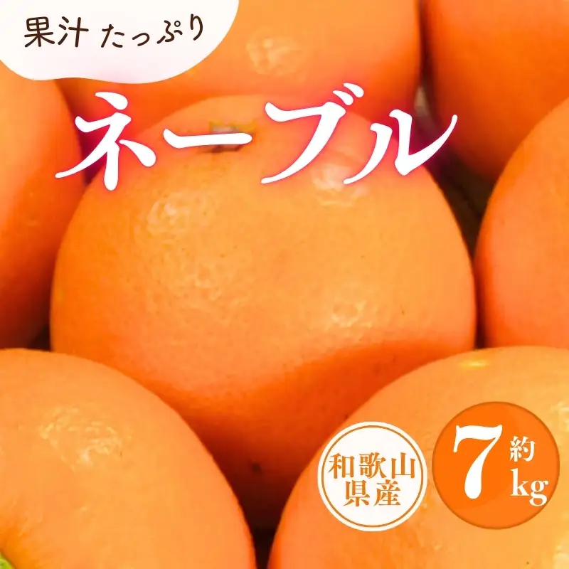 ネーブル 約7kg/サイズおまかせ　※2027年1月中旬～2027年2月中旬頃(お届け日指定不可)　紀伊国屋文左衛門本舗　【kstb430C】