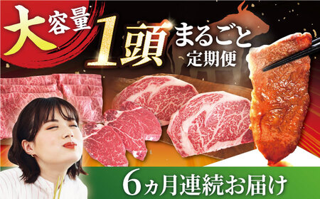 【6回定期便】 1頭まるごと定期便A / 牛肉 [IAH033]