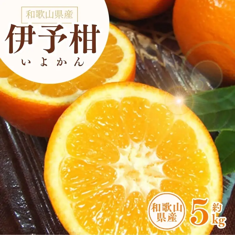 伊予柑(いよかん) 約5kg/サイズおまかせ　※2027年1月中旬～2027年2月中旬頃に順次発送予定(お届け日指定不可)　紀伊国屋文左衛門本舗　【kstb441B】
