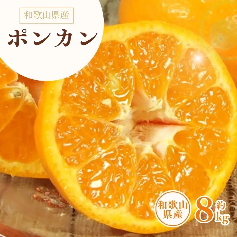 ポンカン 約8kg/サイズおまかせ　※2027年1月下旬～2027年2月下旬頃に順次発送予定(お届け日指定不可)　紀伊国屋文左衛門本舗　【kstb450B】