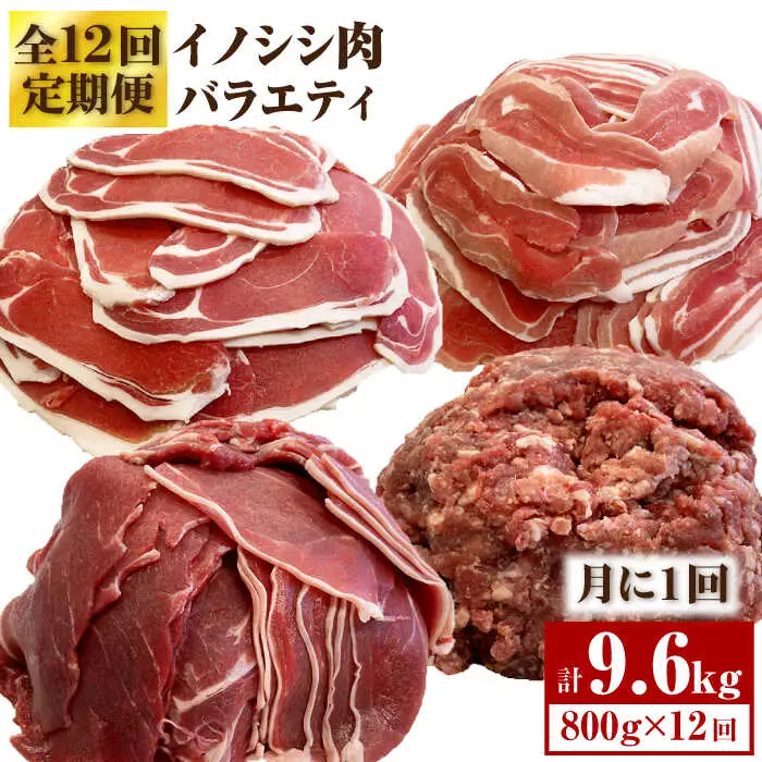 ≪脊振ジビエ≫イノシシ肉バラエティ12回定期便 総量9.6kg【ブイマート・幸ちゃん】 猪 佐賀 カレー ハンバーグ 焼肉 濃厚 さっぱり 小分け 新鮮 [FAL058]
