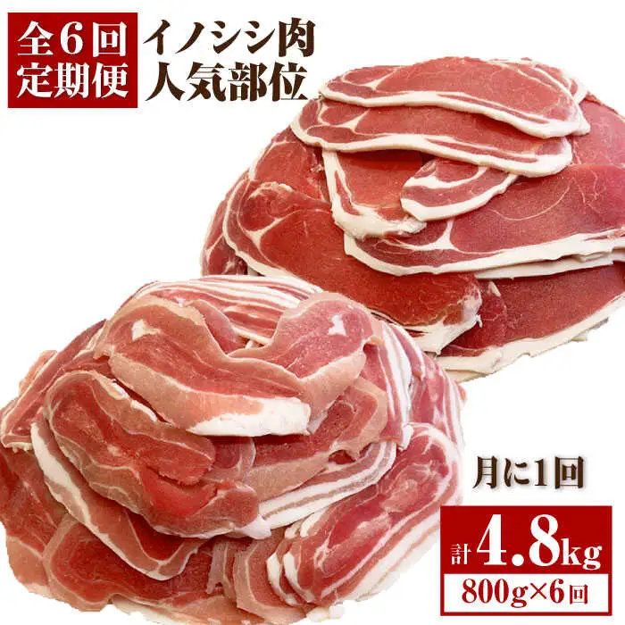 【6回定期便】脊振ジビエ イノシシ肉人気部位 総量4.8kg 鍋 しゃぶしゃぶ 焼肉[FAL060]