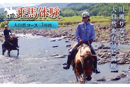 乗馬体験＜大自然コース＞ ( ふるさと納税 乗馬体験 チケット 乗馬 自然 馬 騎乗 レジャー 北海道 遠軽町 株式会社　まきば ) en01-00061